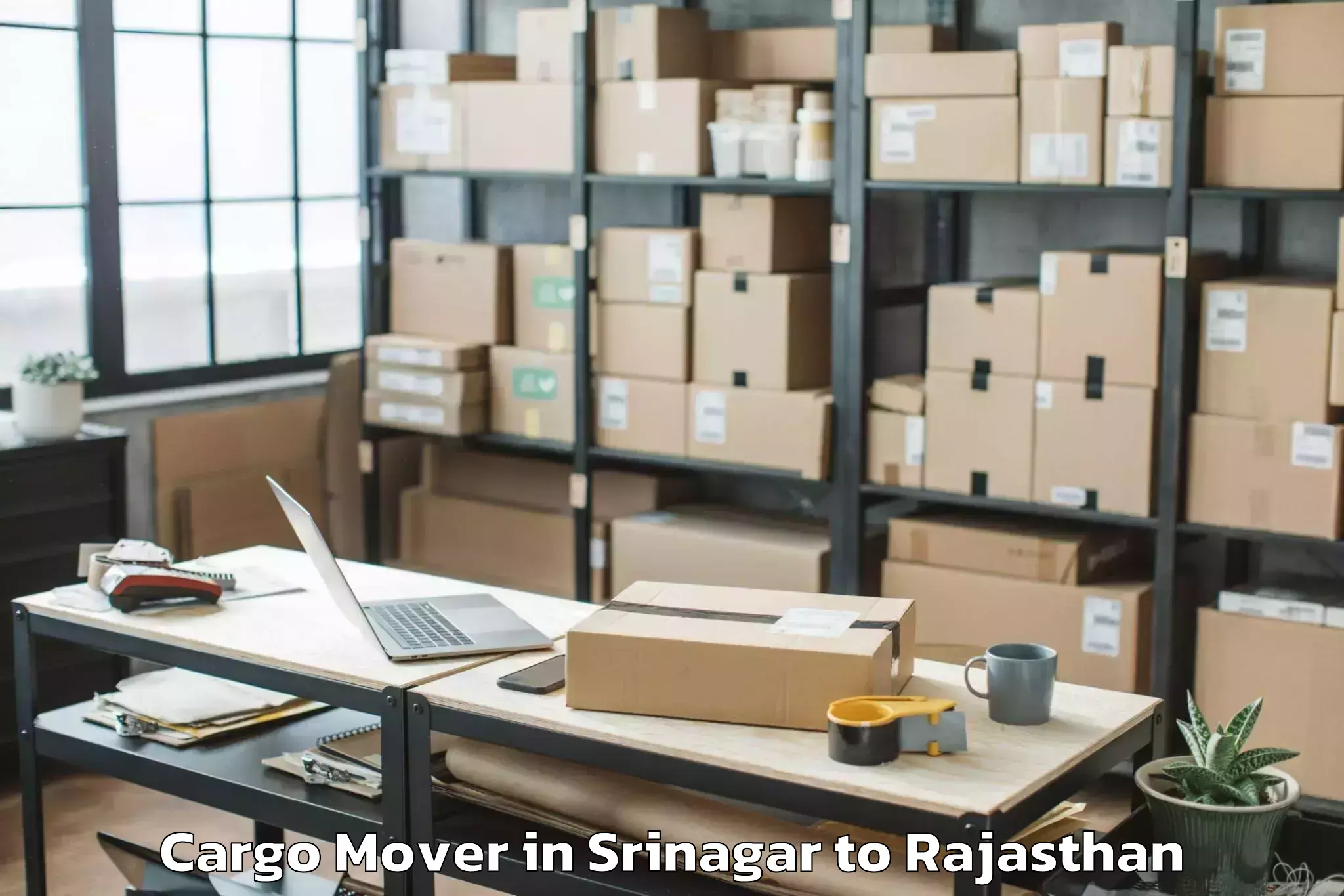 Hassle-Free Srinagar to Kishangarh Cargo Mover